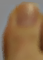 a human big toe